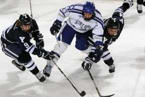 AC Milan Sports-绿军新王登基！塔图姆爆冷狂胜湖人，29分分差引爆TD花园